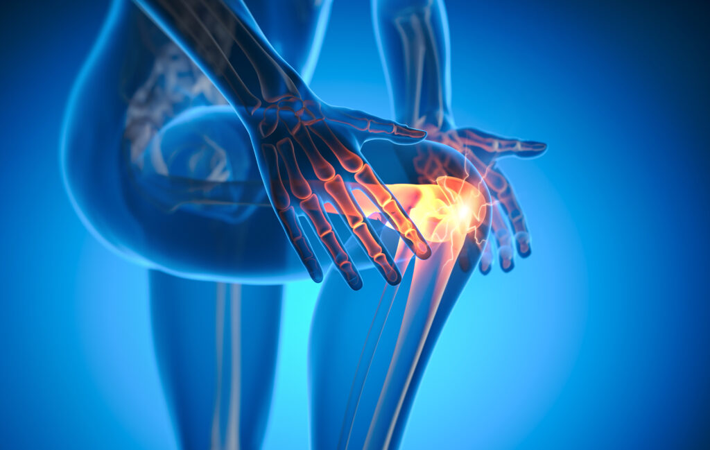 Knee joint
